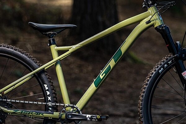 GT ( ジーティー ) マウンテンバイク ZASKAR LT EXPERT 29 ( ザスカー