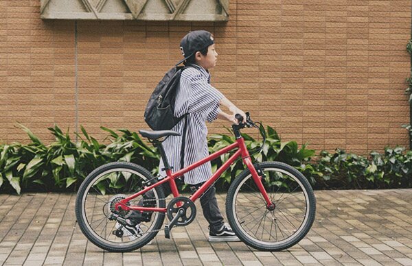 RITEWAY ( ライトウェイ ) キッズバイク ZIT 20 ( ジット 20 ) マット