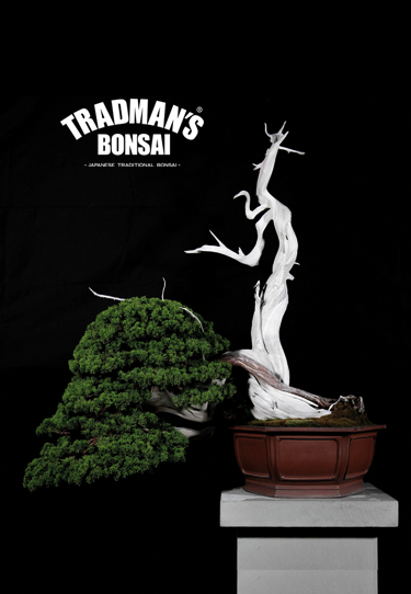 TRADMAN'S BONSAI ONLINE STORE