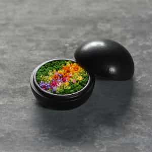 ホーム｜GIFT & OTHERS（GIFT & OTHERS）｜公式通販 バーニーズ