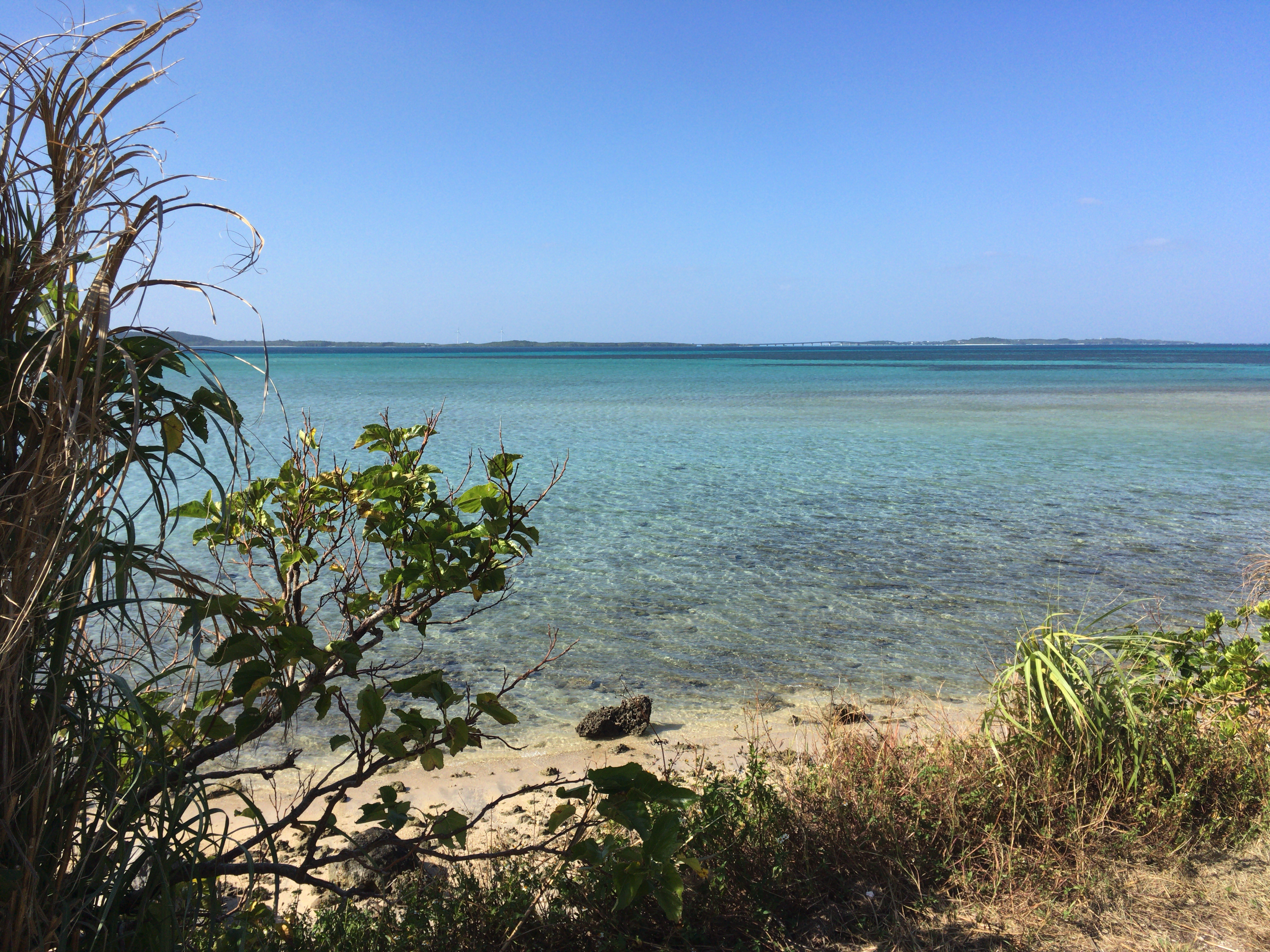 2023年】神の島・大神島を日帰り観光して大神ブルーと大自然に癒される