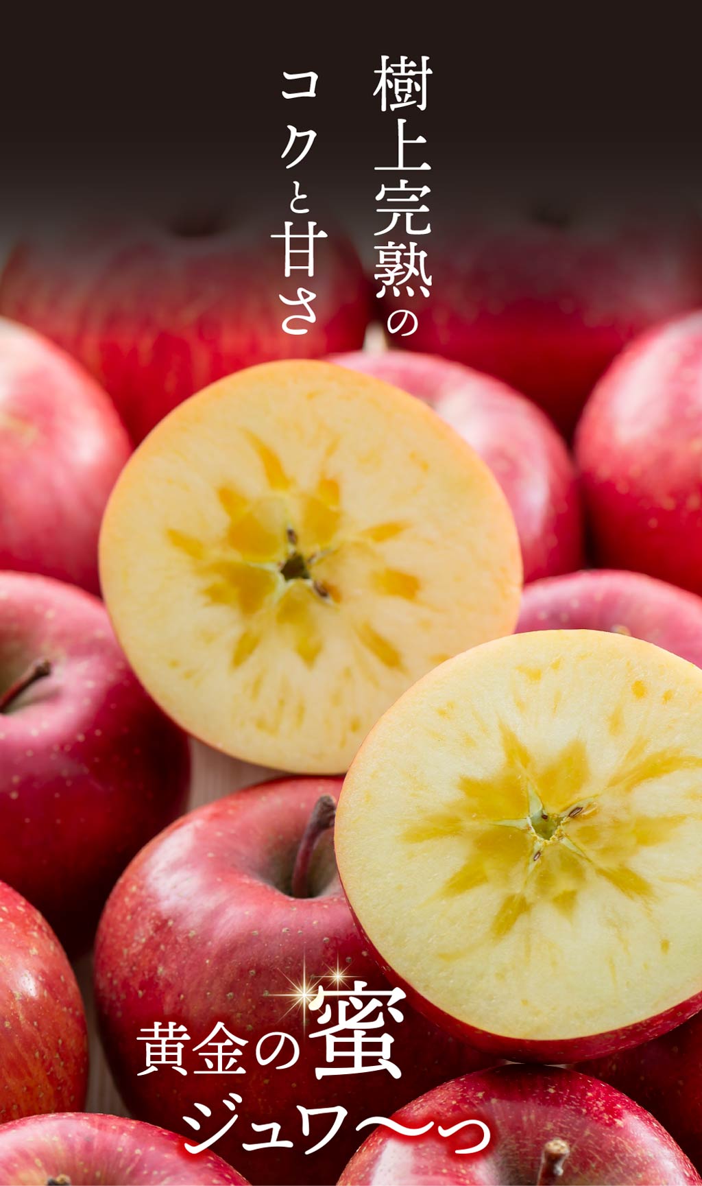 初回限定】 長野サンフジりんご 2kg 初めてのお客様限定1,990円 おいし