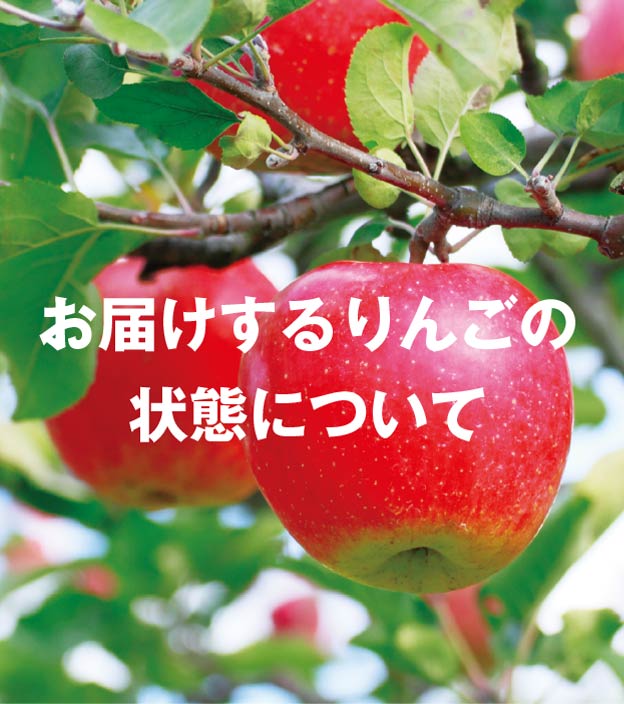 初回限定】 長野サンフジりんご 2kg 初めてのお客様限定1,990円 おいし