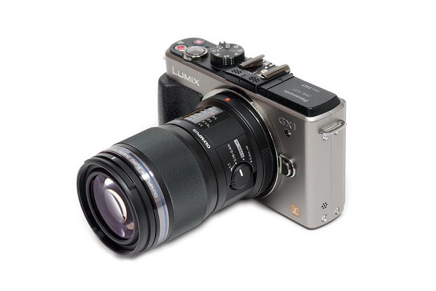 Olympus M.ZUIKO DIGITAL 60mm f/2.8 ED Macro Review - OpticalLimits