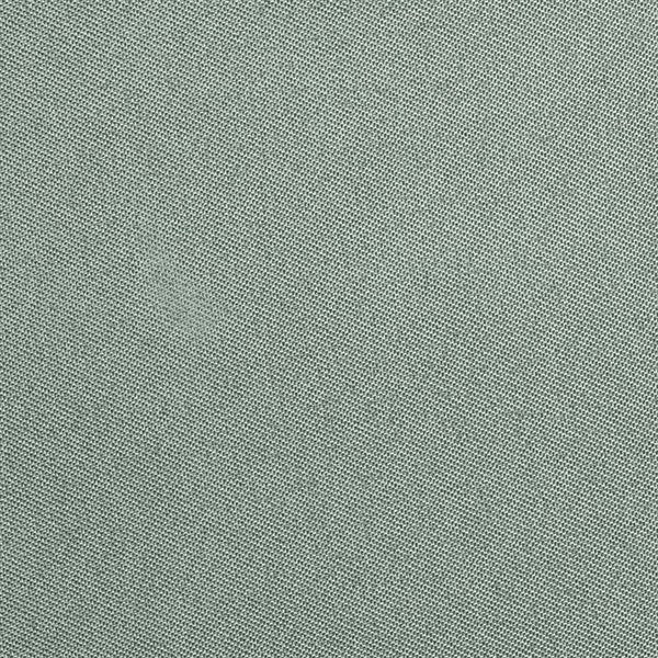 シートマットプレゼント】ラクーナクッション AE リミテッド グリーン