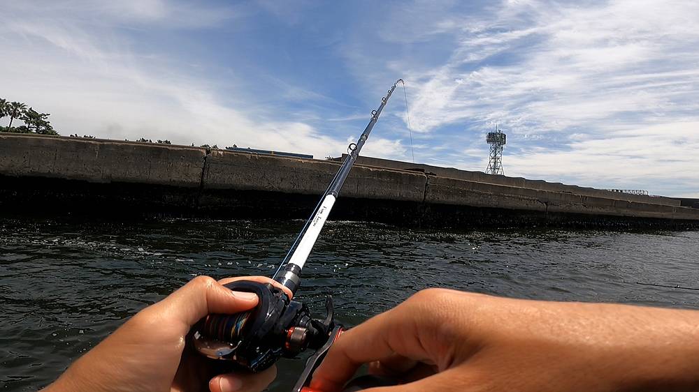 フネタツ船タコ攻め」「フネタツ明石タコ」の実機インプレ！違いはどこ