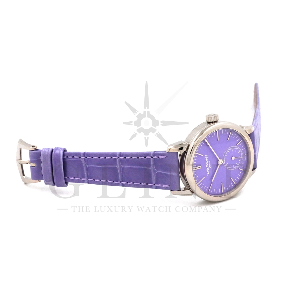 PATEK PHILIPPE 時計入れ 2個セット 専用】パテックフィリップ 時計