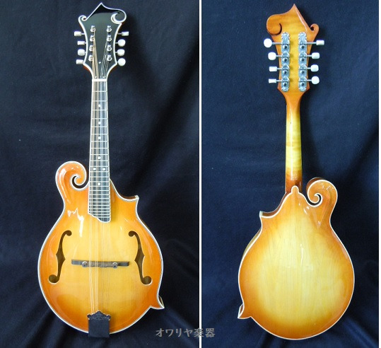 フラットマンドリン総単板シダー・ハードケースセット サンバースト