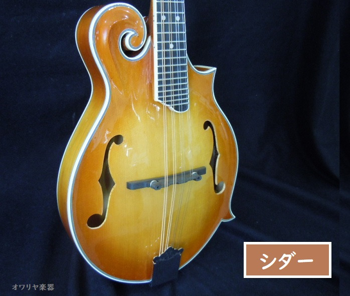 フラットマンドリン総単板シダー・ハードケースセット サンバースト