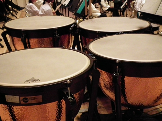 パーカッションの魅力とは？楽器の種類から覚えておきたい基礎知識まで