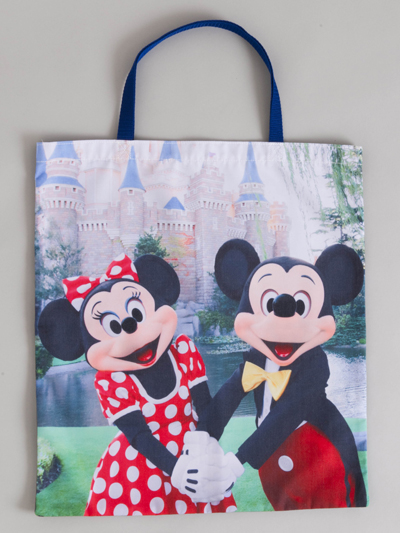 あの金環日食の感動が再び『東京ディズニーリゾート』30周年写真展が