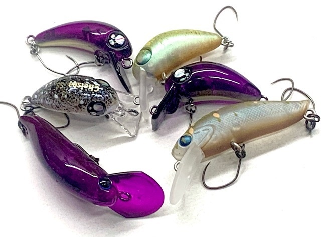 伊勢崎・佐原オリカラ販売開始！ | プロショップオオツカ トラウトブログ