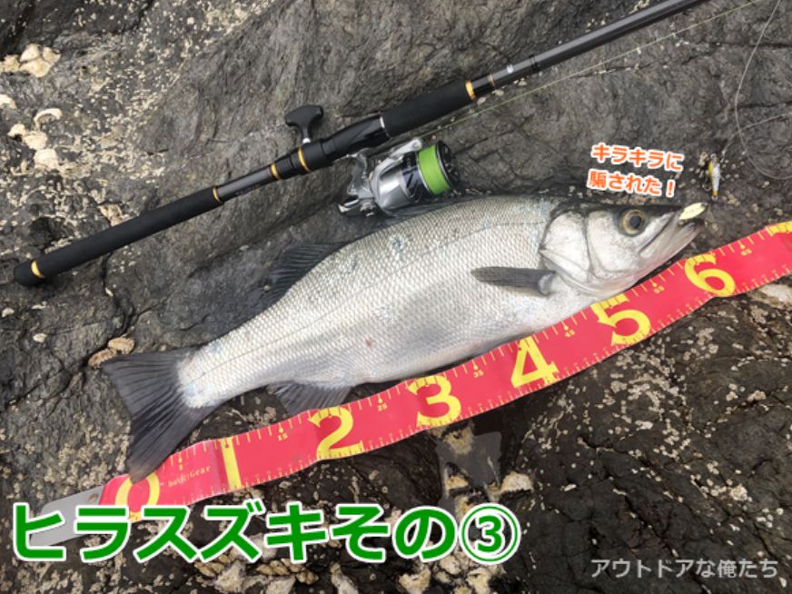 ラテオ90Mと100MHの俺的インプレ｜シーバスから青物までカバーする万能