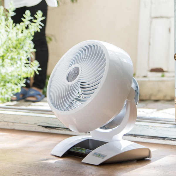 自然大好き！ニッチ・リッチ・キャッチ ナ ～ ハ 行 ボルネード