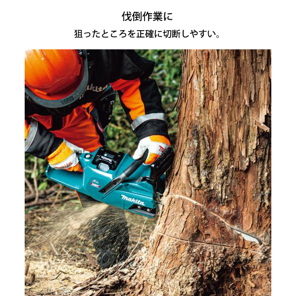 自然大好き！ニッチ・リッチ・キャッチ マキタ makita マキタ（makita