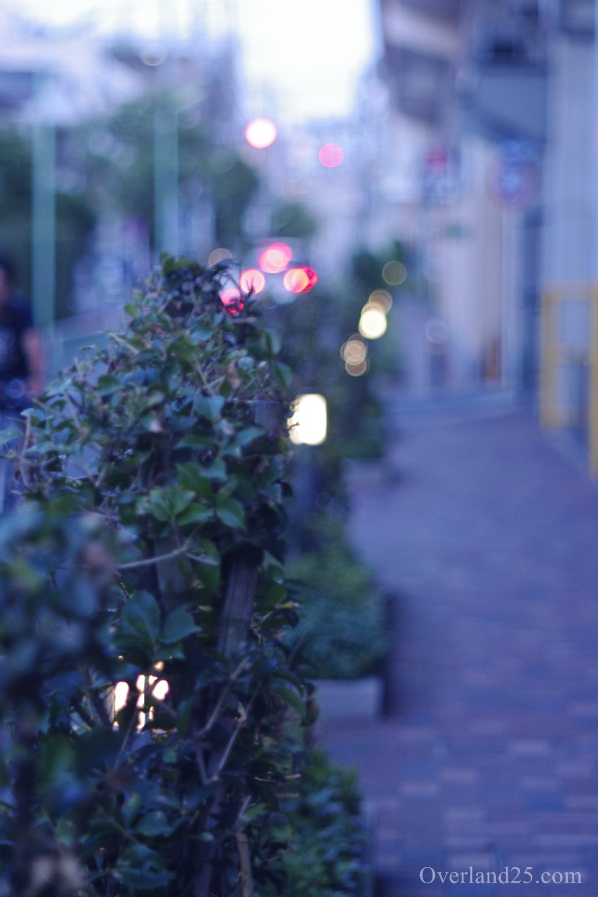 Super Takumar 105mm F2.8 – 「玉ボケ」というオールドレンズの新たな