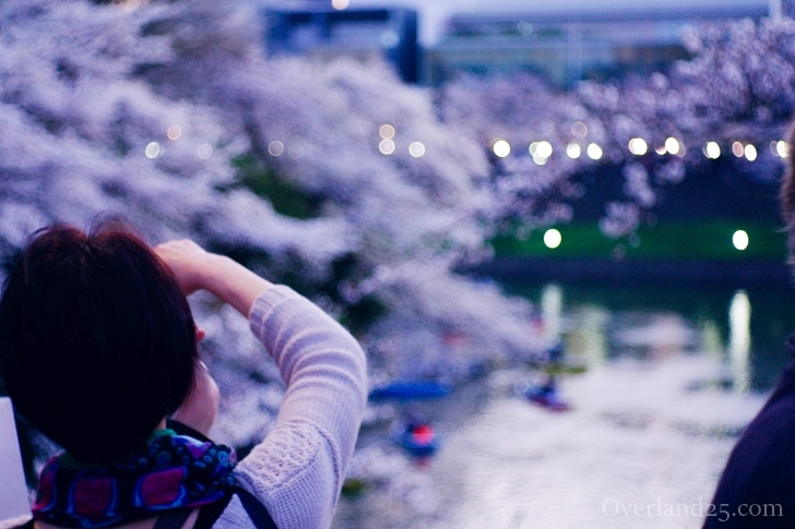 Meyer-Optik Domiplan 50mm F2.8 – ついに本家のバブルボケ、だけど