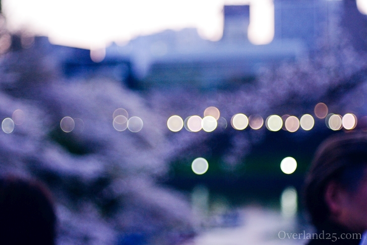 Meyer-Optik Domiplan 50mm F2.8 – ついに本家のバブルボケ、だけど