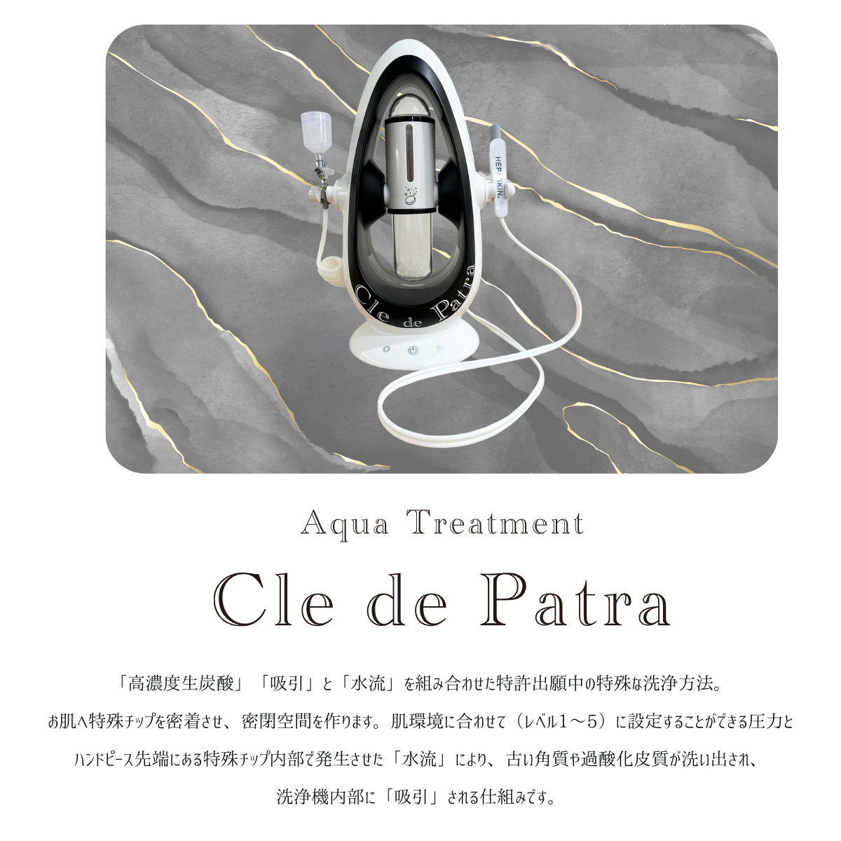 HEPASKIN クレドゥパトラ - 株式会社OXI