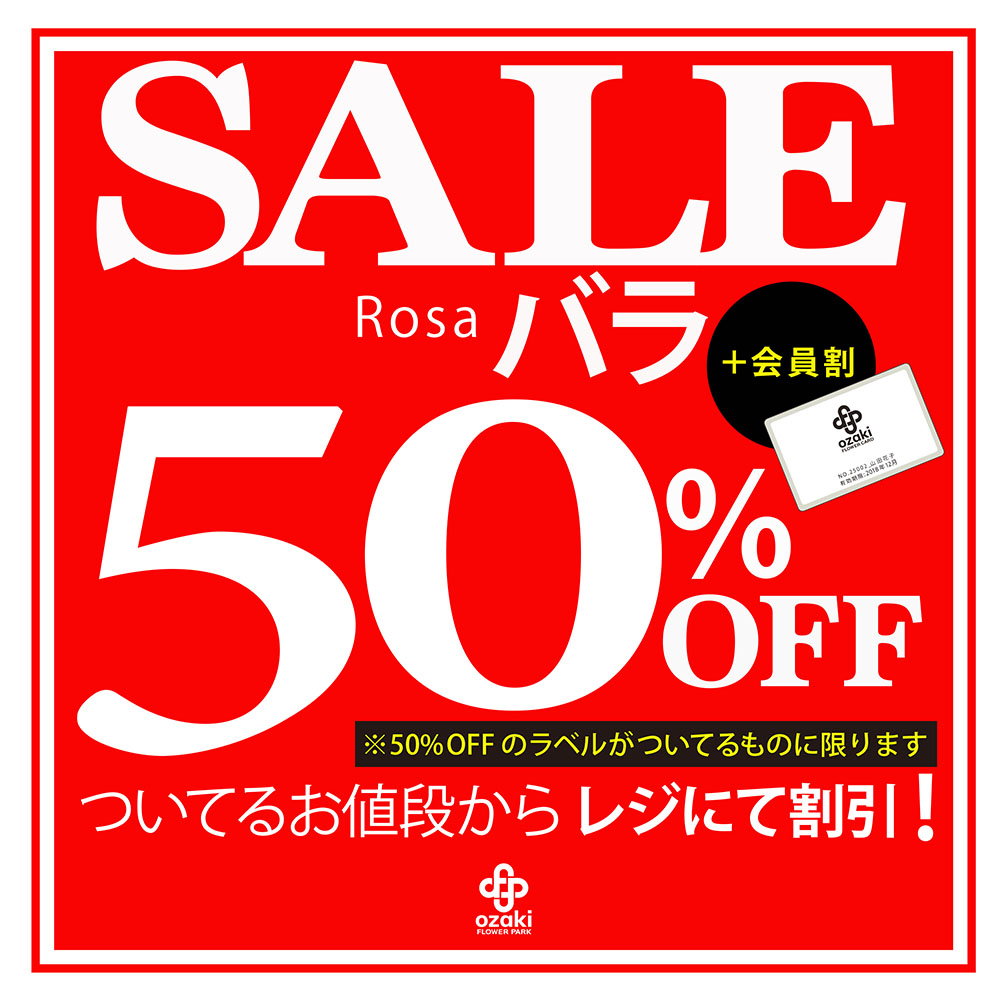 1F|バラ50%OFF SALE | オザキフラワーパーク | オザキフラワーパーク
