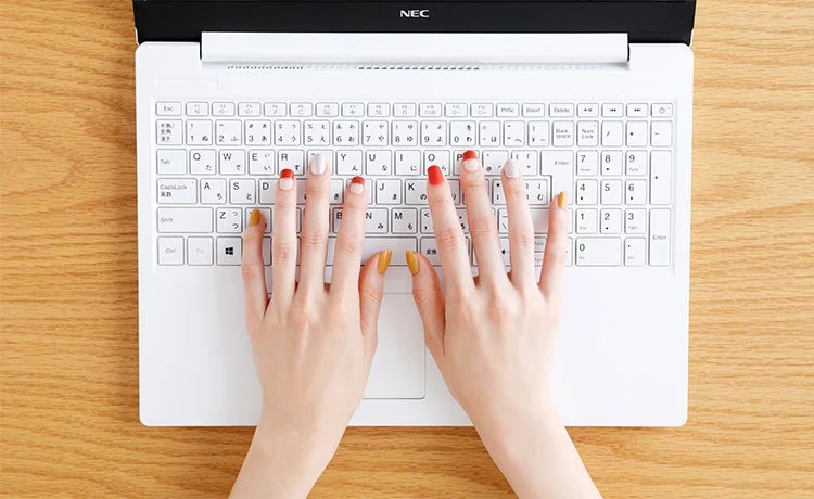 2019年夏モデル・2020年春モデル LAVIE Note Standard 17.3型ワイド