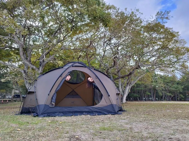 TOMOUNT「DOME-OTTO S2 PRO」本音レビュー｜コスパ最強！至高のドーム