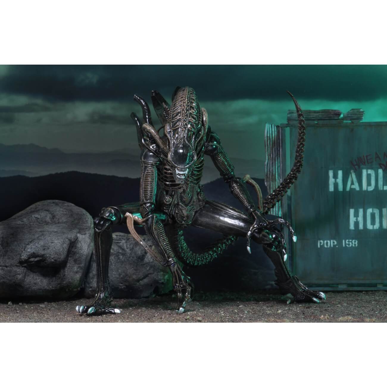 51644-Brown1.jpg?v=1655222376&