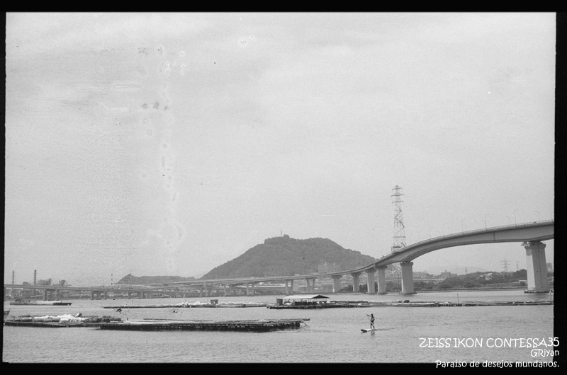 撮影散歩】ZEISS IKON CONTESSA35 + FOMAPAN 100 Classic の作例を公開