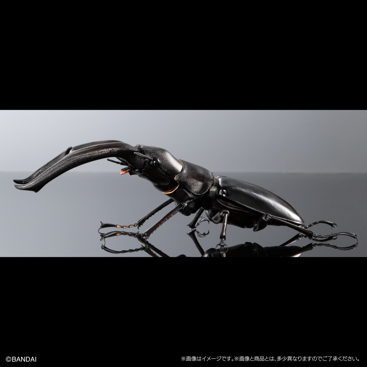 いきもの大図鑑プレミアム マンディブラリスフタマタクワガタ