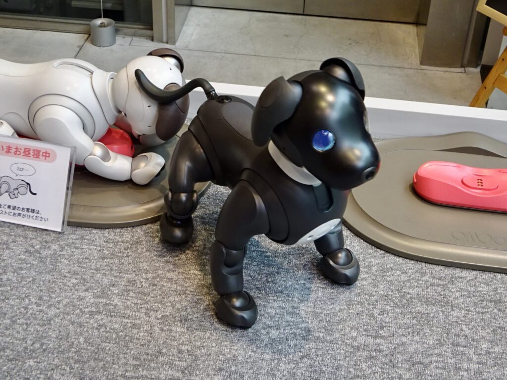 aibo・エスプレッソ エディションちゃんに会って来た｜うちには