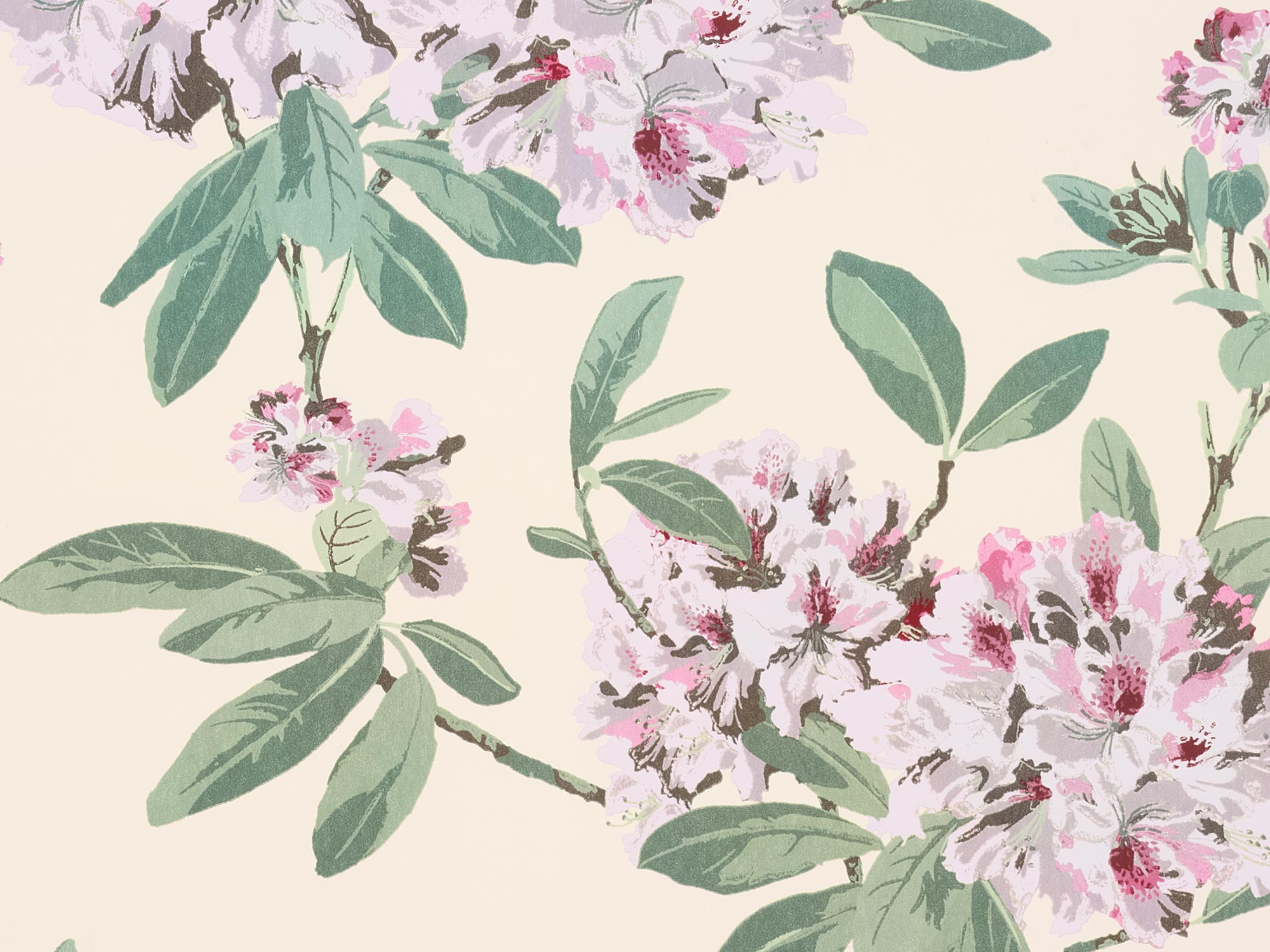 花柄｜壁紙｜LAURA ASHLEY｜商品一覧｜PASSAGE de SINCOL