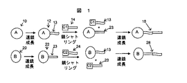 JP4879882B2 - より高次のオレフィンマルチブロックコポリマーを形成