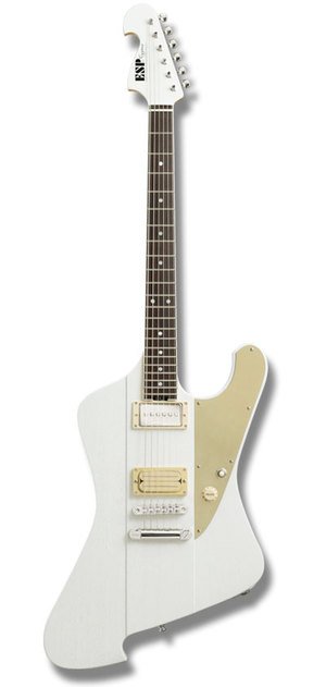 edwards LEDAモデル　シグナス cygnus ESP