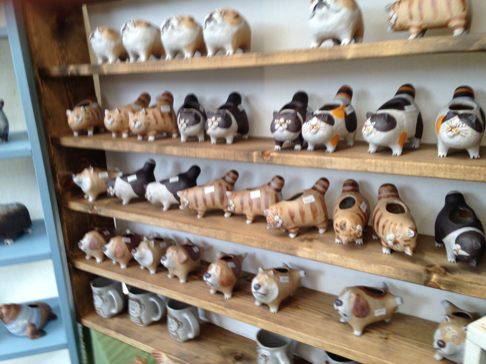 かとうゆみさんの、ワニ型陶器鳥が2羽付いてる物 かとうゆみさんの