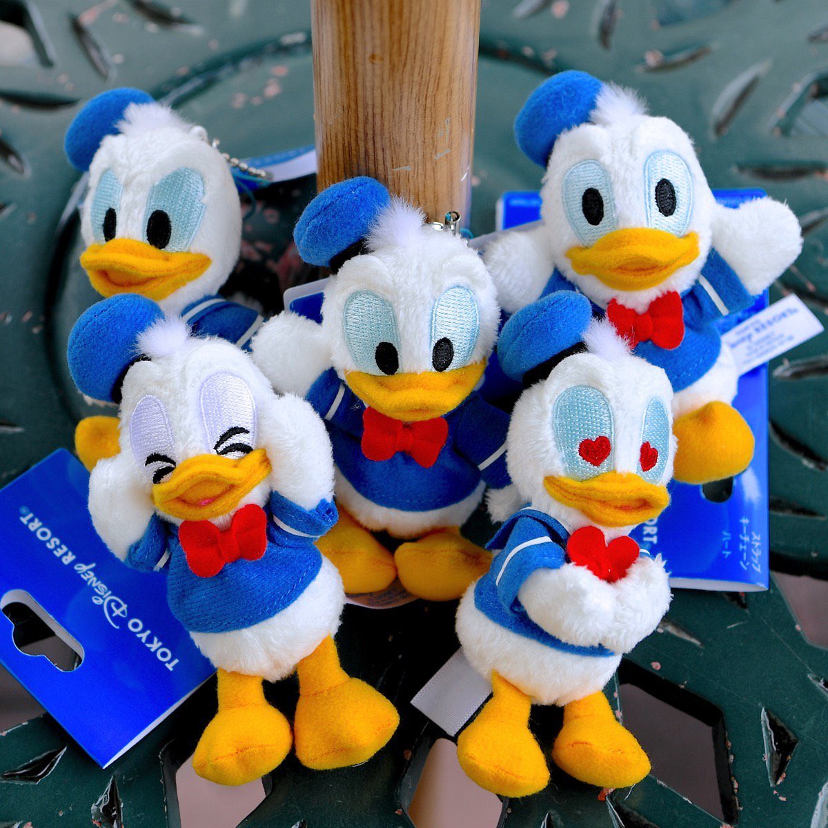 5種類の表情がかわいい☆ 東京ディズニーリゾート・ドナルドぬいぐるみ