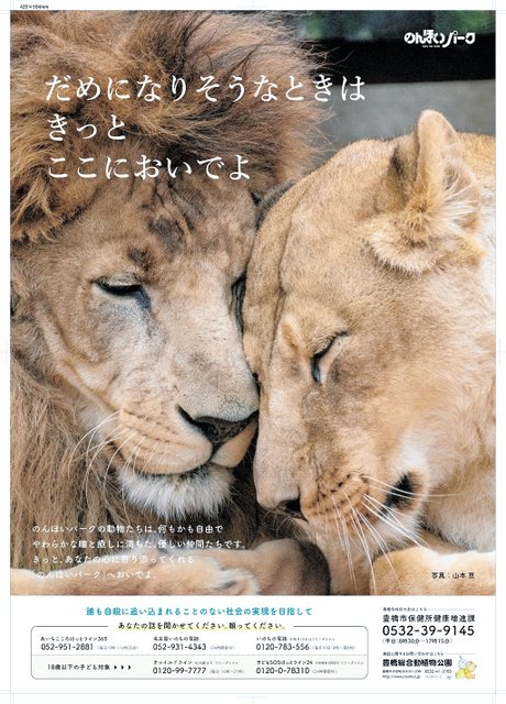 ② 特大 ポスター B2 告知 【非売品】城下町のダンデライオン