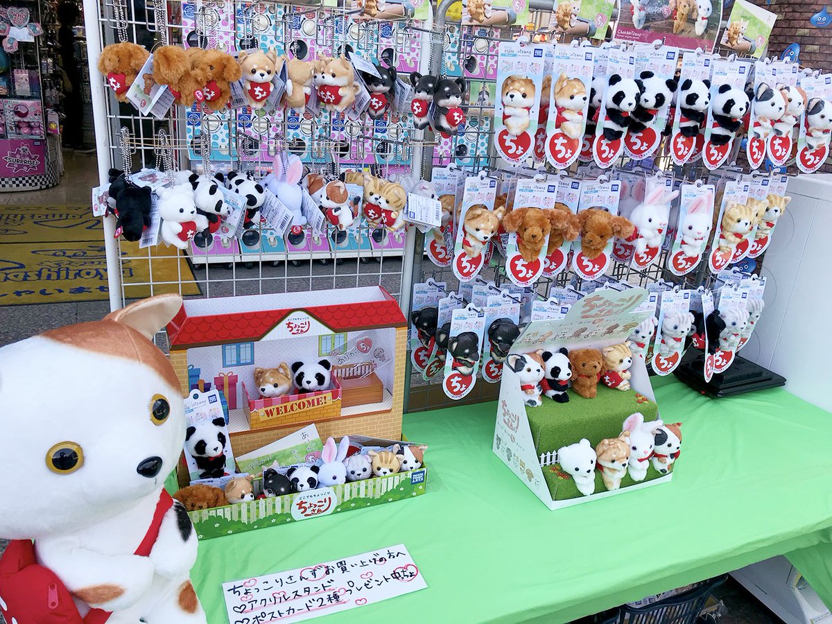 3/2、3/3、1階店頭で実演販売中です🎵 タカラトミーアーツ 「ちょっ