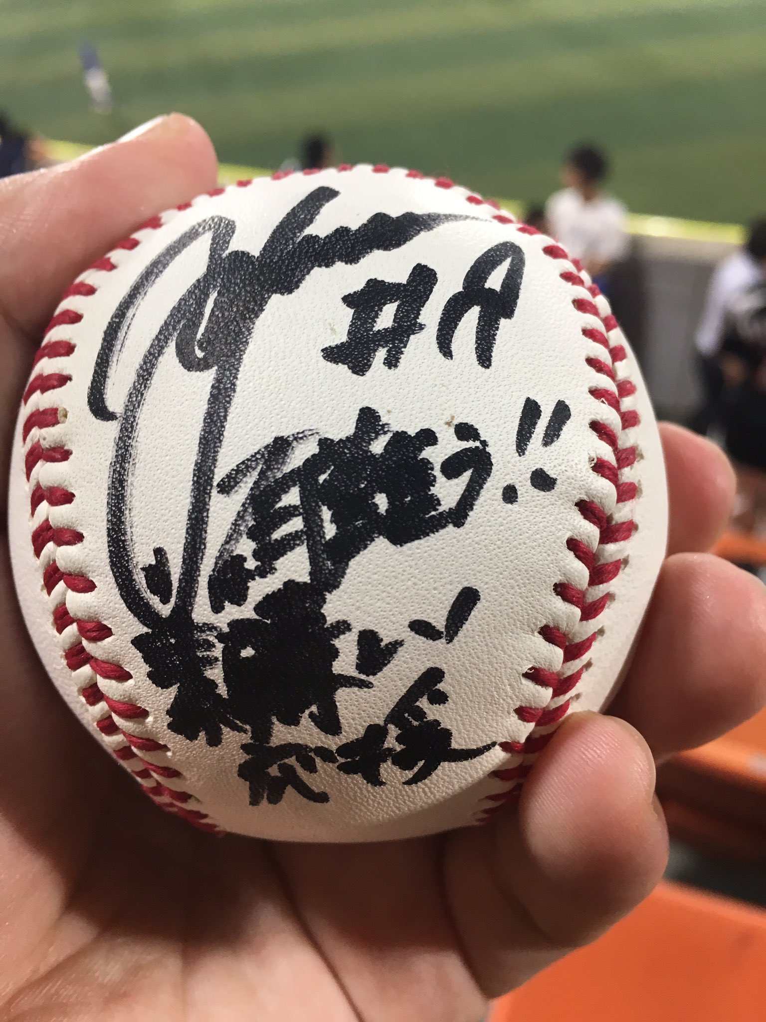 19 山﨑康晃選手 直筆サインボール ＆ ケース ※31セーブ