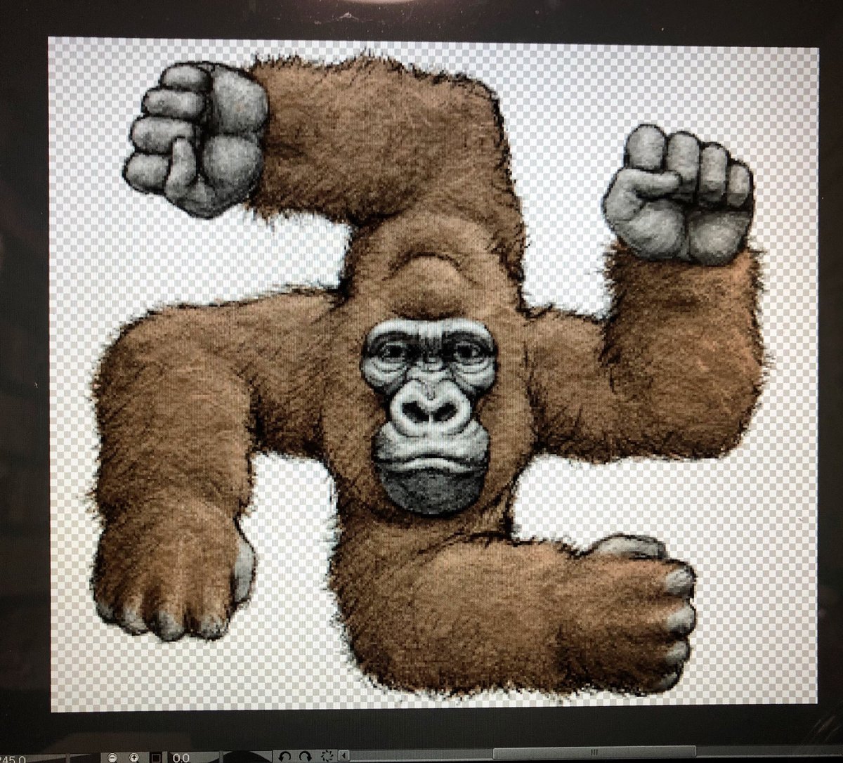 卍ゴリラ・ゴリラ卍