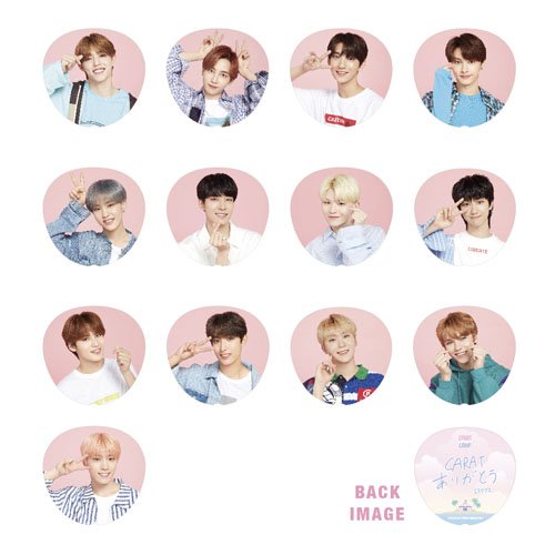 SEVENTEEN JAPAN NEWS] 「SEVENTEEN JAPAN FANMEETING 'CARAT SUMMER