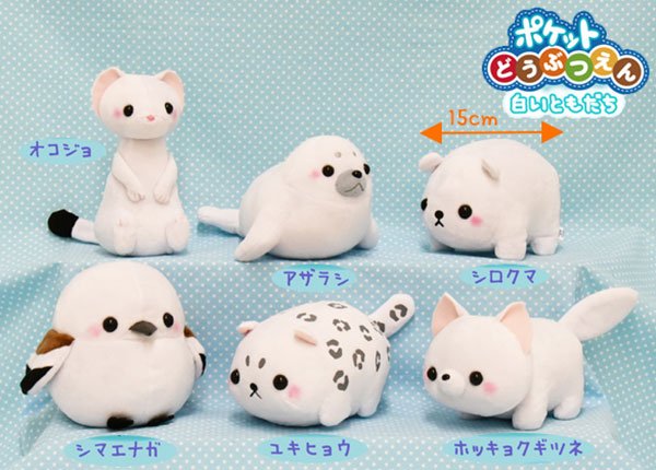 ポケット動物園から白いともだちが登場！北海道など北方に住む動物達を