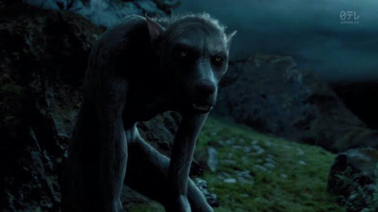 ハリーポッター 【小ネタ】 ハリーポッター第3作目「ハリーポッター