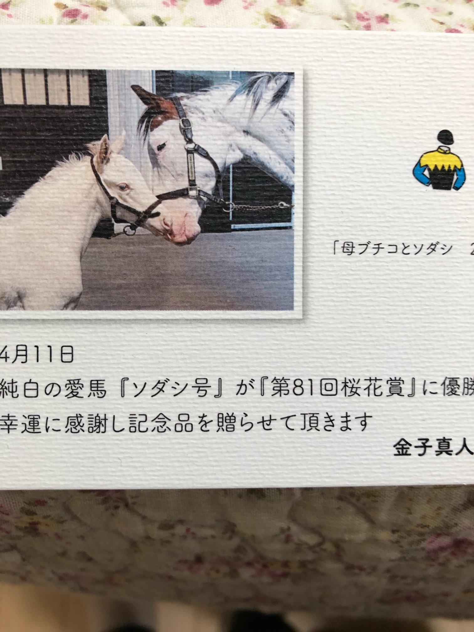 未開封】ブチコ フィギュア付ポーチ ソダシの母 競馬 ウマ娘