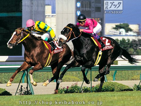 今週末は阪神大賞典 写真はナリタブライアンV.S.マヤノトップガン 1996