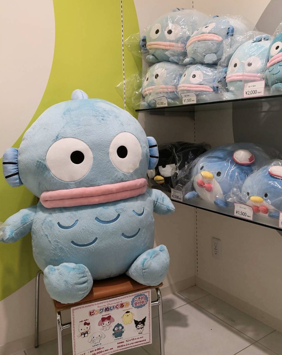 むにゅぐるみパティオ』では #サンリオキャラクターズ 特大ぬいぐるみ