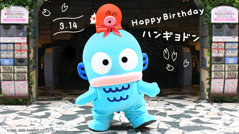 本日3月14日はハンギョドンの誕生日！ 人を笑わせることが得意だけど