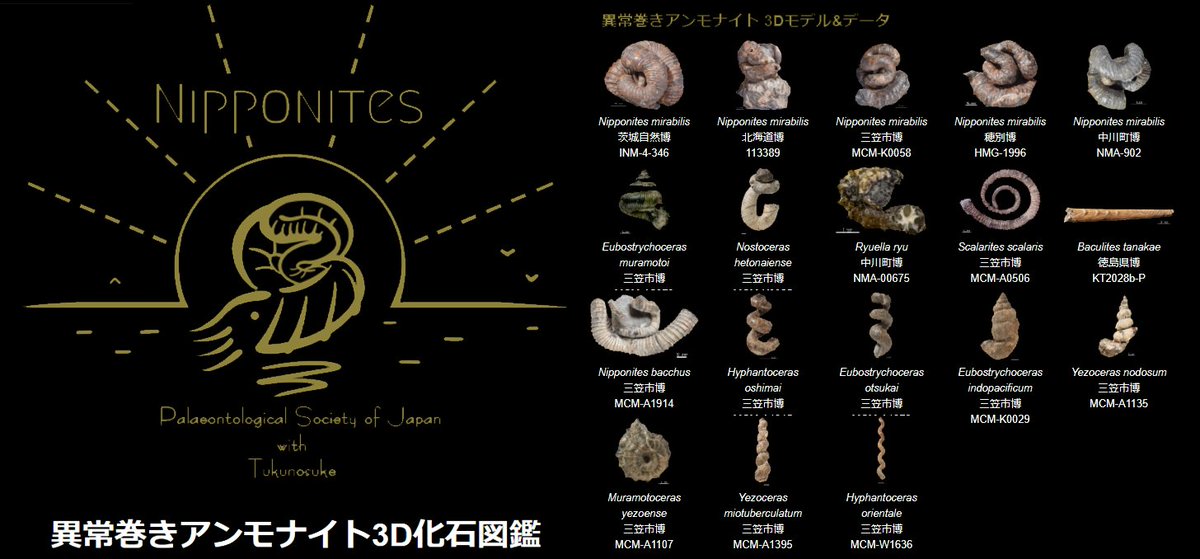 異常巻きアンモナイト3D化石図鑑 2020アップデート第6弾】 今回は