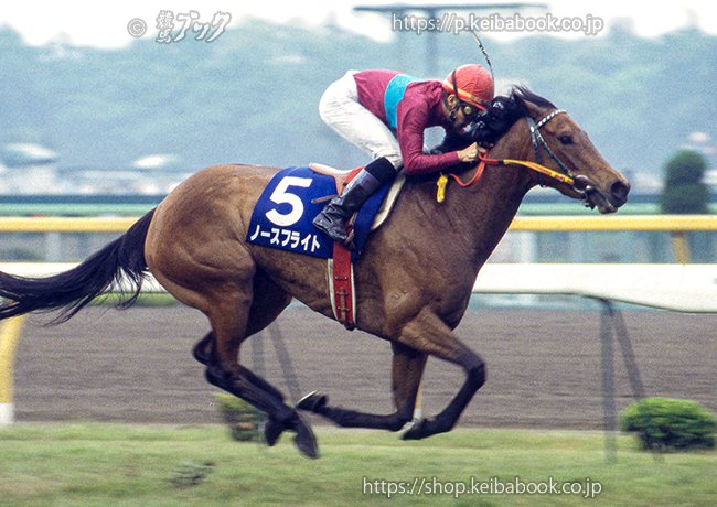 ノースフライト #安田記念 #マイルチャンピオンシップ #角田晃一 騎手