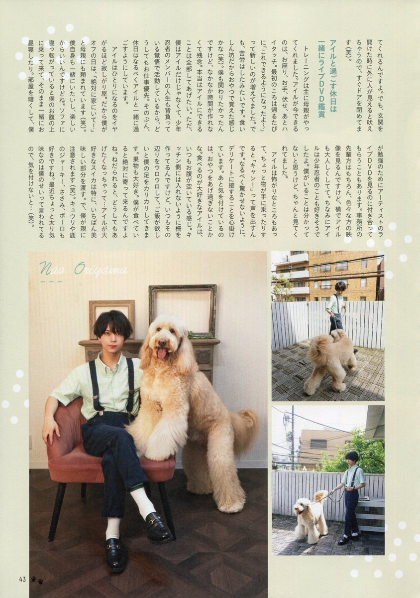 𝙋𝙚𝙩 𝙋𝙤𝙥 𝙎𝙌𝙐𝘼𝙍𝙀 𝙫𝙤𝙡. ⁷ 織山尚大 🐶
