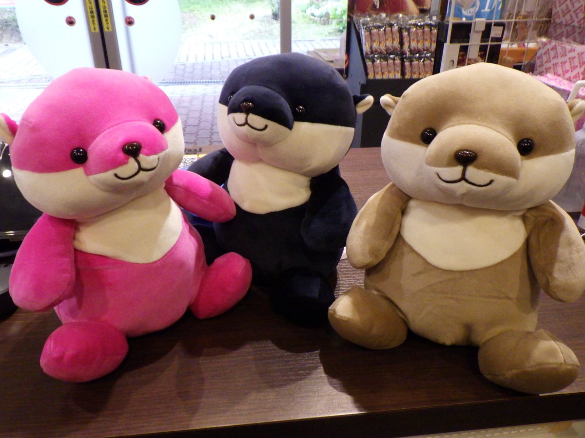 ハマスイオリジナルくじ登場！】 売店にカワウソくじが仲間入り！え
